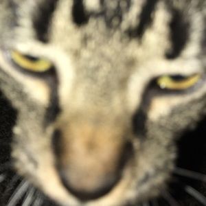 Meet your Posher, Carolyn